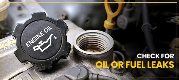 oil leaks car engine-sgi